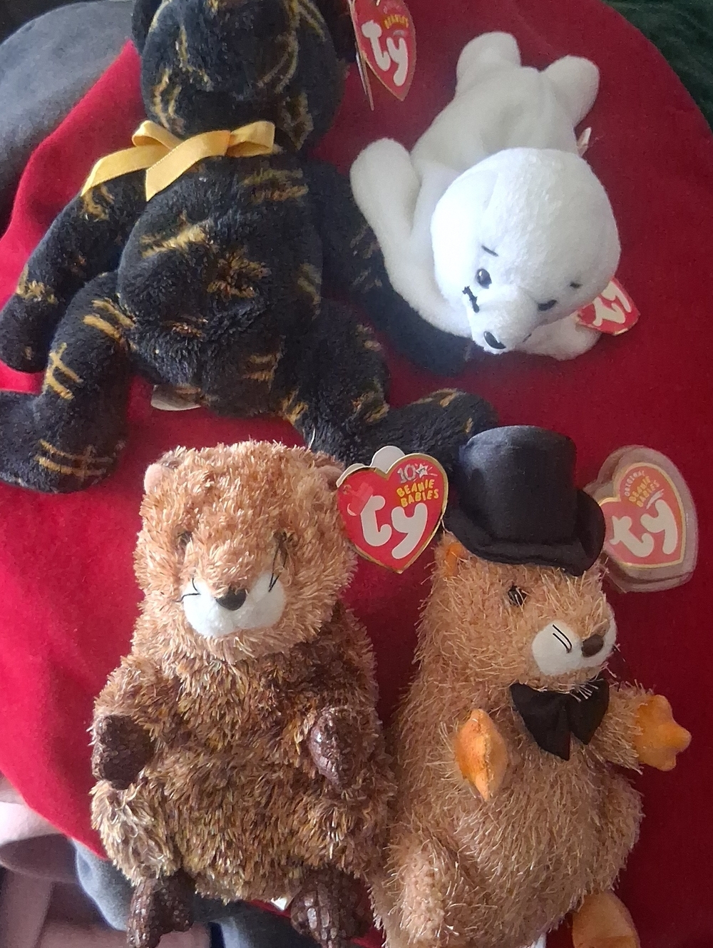 Ty Plush Toy Quad - 2 Punxsutawne Phil  & 1 Seamore Seal & 1 Starlight By Harrod